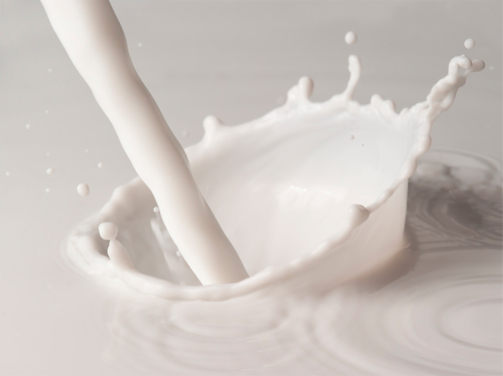 Milk and derivatives reservoir