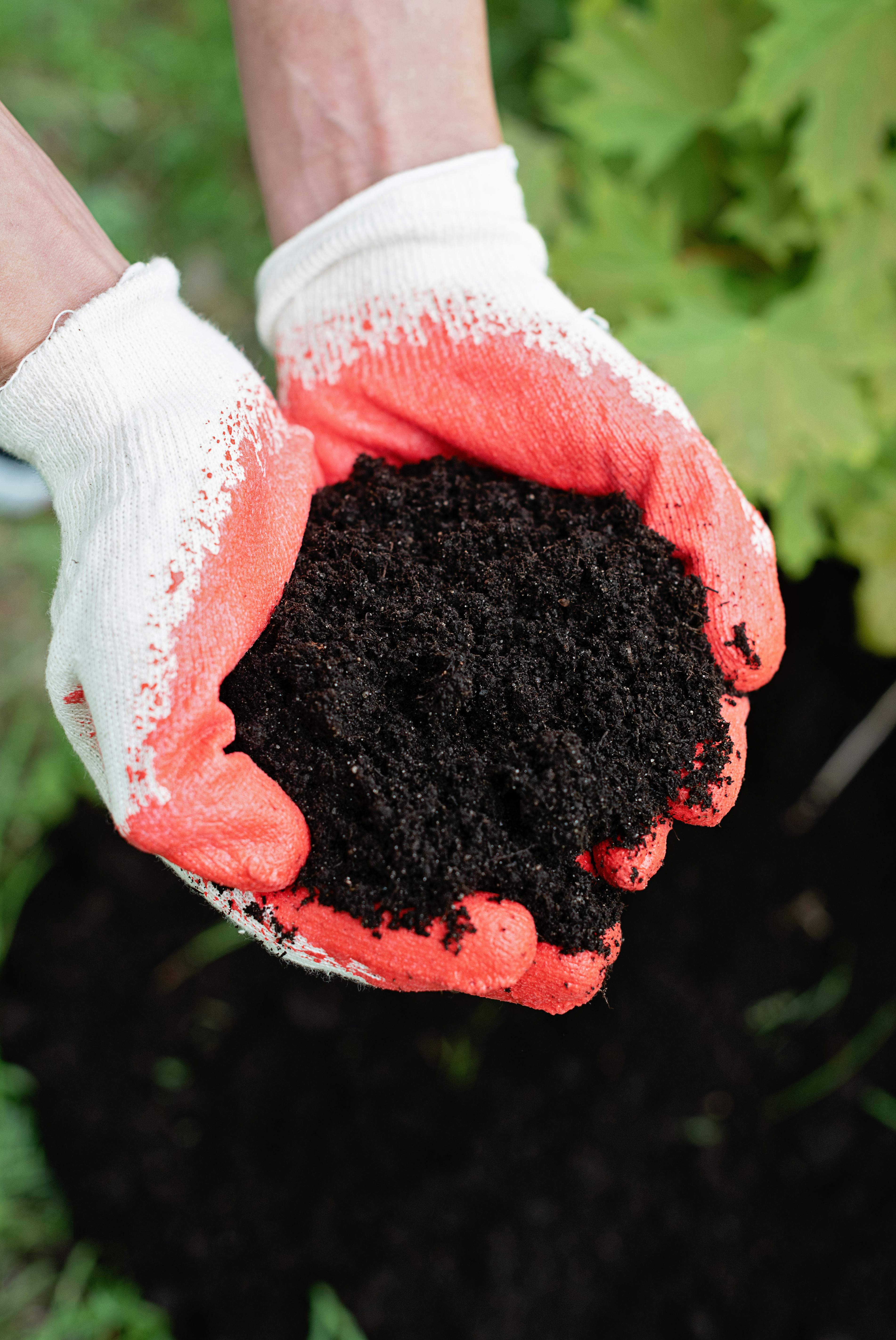 Manufacture of fertilizers