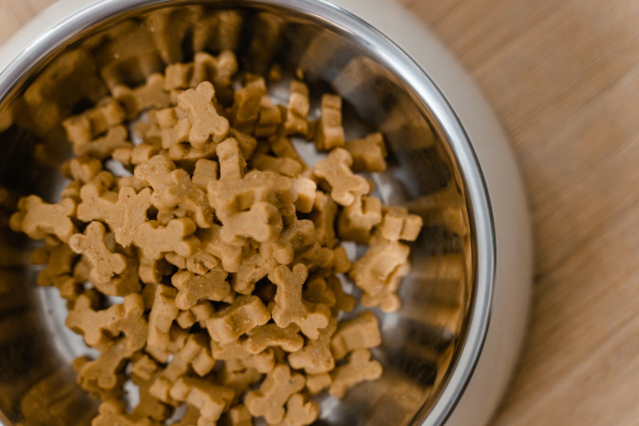 animal feed