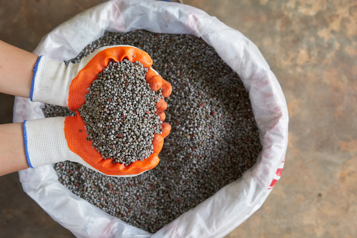 Manufacture of fertilizers and fertilizers