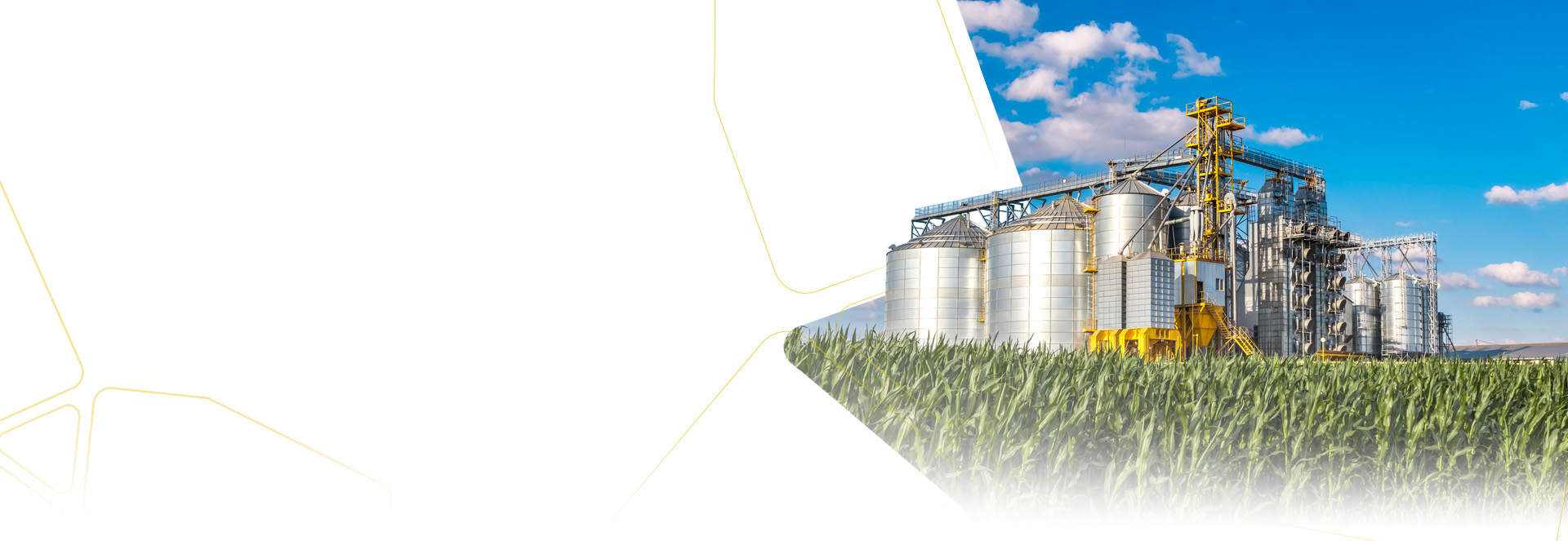 Segments   Agro -industry 