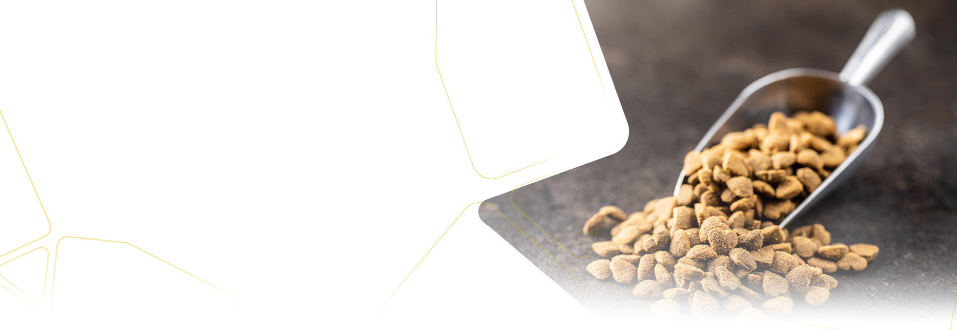 Segments   Animal Ration 