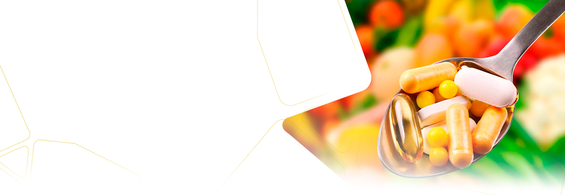 Segments   Chemical Industry  And Pharmaceuticals 